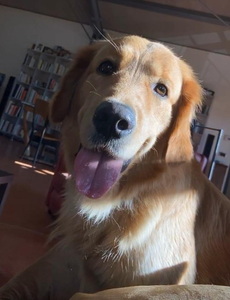 Share a picture of your furry friend