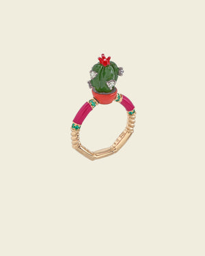 The Adventures Of The Cactus Ring